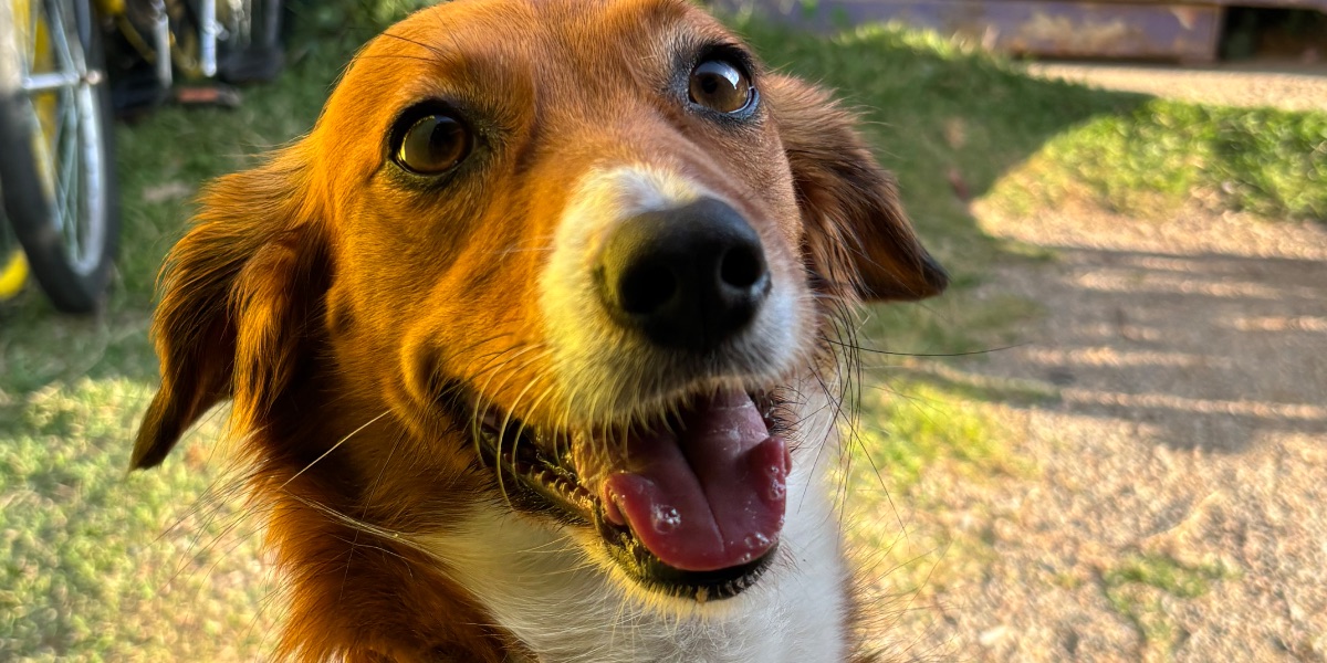 Foto de Exemplo Duda